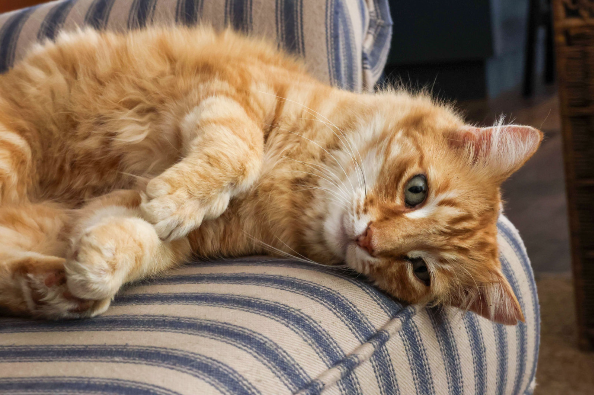 Screenshot 2025-12-08 225730